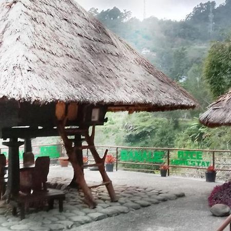 Rice Homestay Banaue Exterior photo