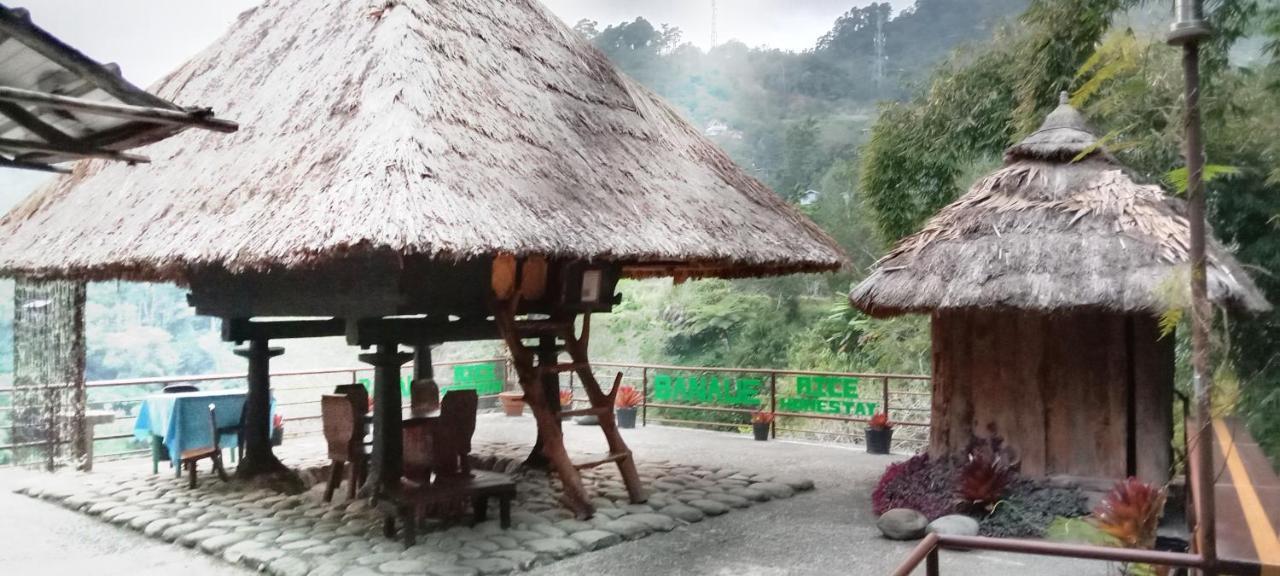 Rice Homestay Banaue Exterior photo