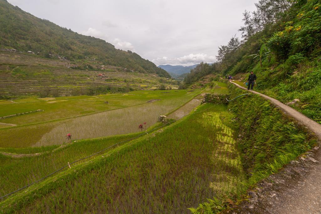 Rice Homestay Banaue Exterior photo